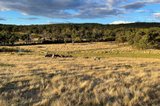 https://images.listonce.com.au/custom/160x/listings/lot-9-slatey-creek-road-invermay-vic-3352/068/01251068_img_13.jpg?PMpXt_FOxUc