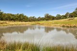 https://images.listonce.com.au/custom/160x/listings/lot-9-slatey-creek-road-invermay-vic-3352/068/01251068_img_14.jpg?HHnkYeH1LEU