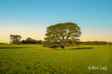 https://images.listonce.com.au/custom/160x/listings/lots-1-4-rollinsons-road-greenhill-vic-3444/893/01821893_img_11.jpg?pyTZfgQCy8A