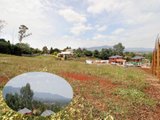 https://images.listonce.com.au/custom/160x/listings/mooroolbark-vic-3138/581/01528581_img_01.jpg?LBa8lk8gXBg