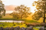 https://images.listonce.com.au/custom/160x/listings/raxton-hall-79-manns-road-kyneton-vic-3444/441/01808441_img_24.jpg?d1_zZZb4QXA