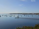 https://images.listonce.com.au/custom/160x/listings/unit-117a-the-esplanade-geelong-vic-3220/328/01699328_img_04.jpg?T4Pp1gW3mIM