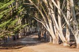 https://images.listonce.com.au/custom/160x/listings/wonnerup-park-1301-three-chain-road-cobaw-vic-3442/847/01681847_img_03.jpg?Z8LWpYxNhMQ