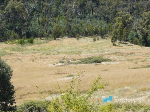 00 Scrubby Creek Track, Omeo