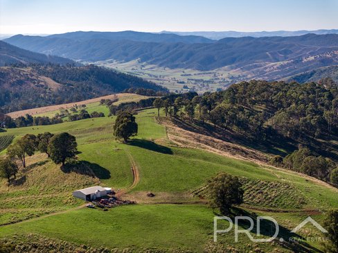 1-65 Forsters Road, BATLOW NSW 2730