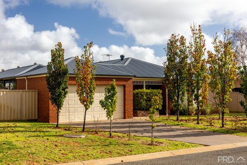 10 Drings Way, GOL GOL NSW 2738