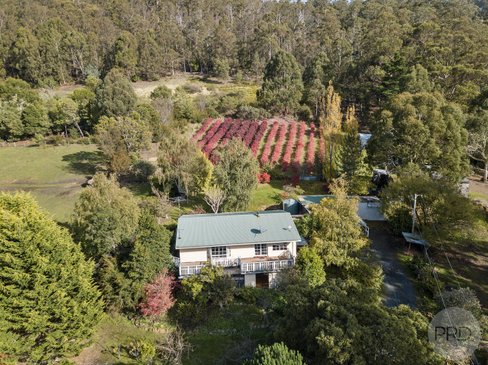 10 Pregnells Road, ALLENS RIVULET TAS 7150