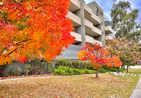 10/12 Waniassa Street, QUEANBEYAN EAST NSW 2620