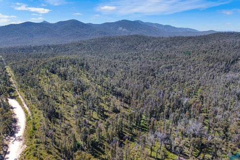 107 Buldah Road, Chandlers&nbsp;Creek