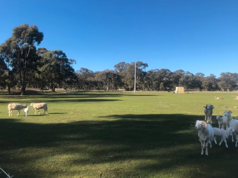 11 Rayners Road, NEILBOROUGH VIC 3570