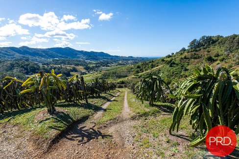 115B-115c Bennetts Road, COFFS HARBOUR NSW 2450