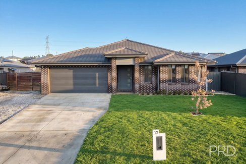 12 Galah Drive, CALALA NSW 2340