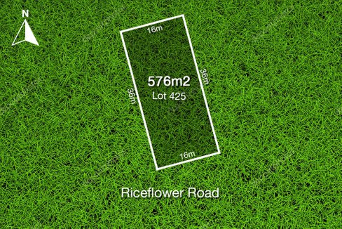 12 Riceflower Road, Bannockburn