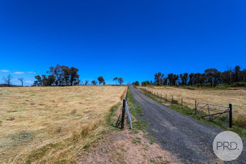 128 Blueberry Farm Road (off Taradale Rd), TUMBARUMBA NSW 2653