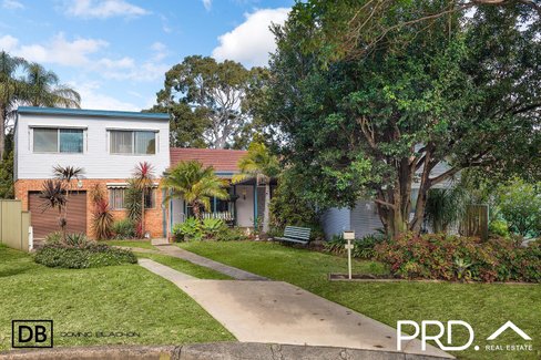13 Colleen Ave, PICNIC POINT NSW 2213