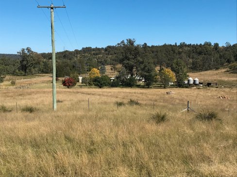 1311 Giants Creek Road, GIANTS CREEK NSW 2328