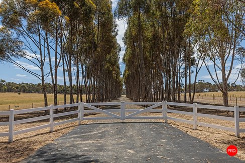 1313 McIvor Highway, LONGLEA VIC 3551