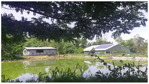 134 Ashton Road, GREGORY RIVER QLD 4800