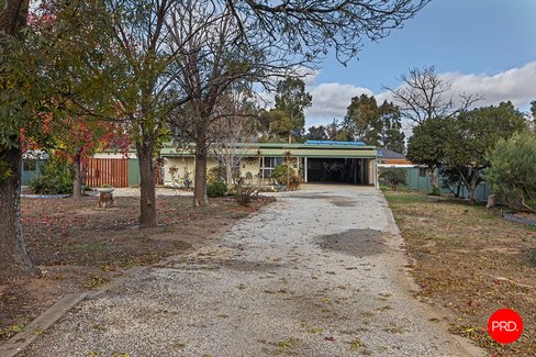 14 Arrawalli Avenue, ASCOT VIC 3551