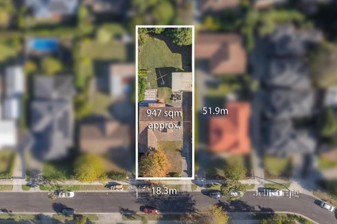 14 Hamilton Avenue Blackburn 3130