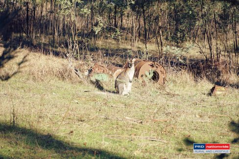 148 Tumbarumba Road, TUMBARUMBA NSW 2653