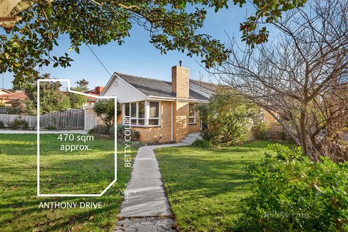 15 Anthony Drive Mount Waverley 3149