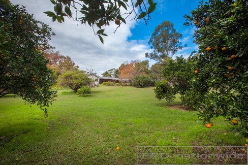 1549 Paterson Road, PATERSON NSW 2421