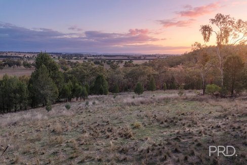 16 Bolah Ridge Road, QUIRINDI NSW 2343