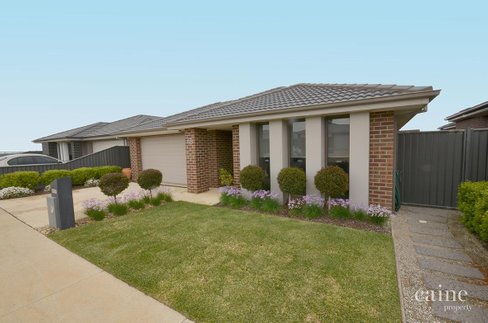 16 Gitsham Street Lucas 3350