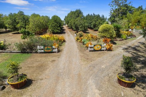 164 Old Bruce Highway, OWANYILLA QLD 4650