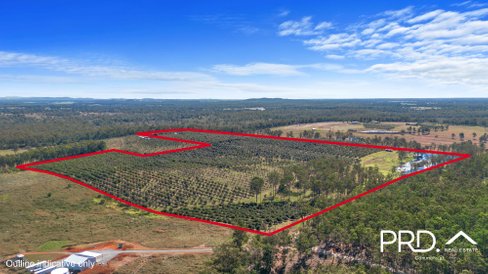 164 Old Bruce Highway, OWANYILLA QLD 4650