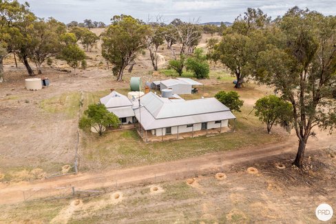 170 Farnham Road, STUART TOWN NSW 2820