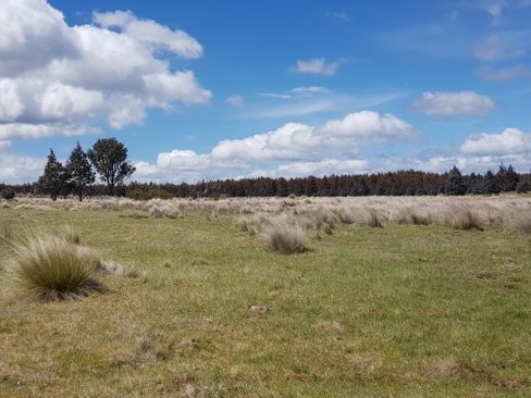 1734 Fourteen Mile Road, BRONTE PARK TAS 7140