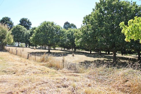 18 Mercury Lane, TUMBARUMBA NSW 2653