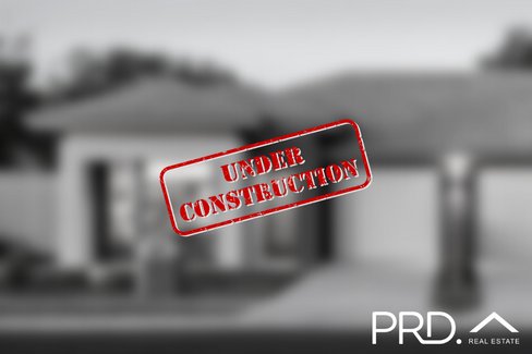 194 Denton Park Drive, ABERGLASSLYN NSW 2320