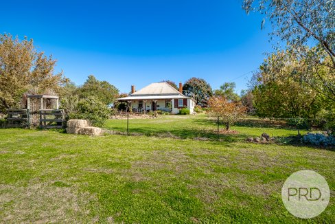 199 Dunnings Road, BRUCEDALE NSW 2650