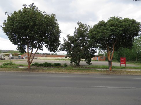 21 Osburn Street, WODONGA VIC 3690