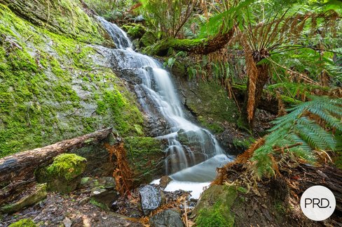 212 Lower Swamp Road, LACHLAN