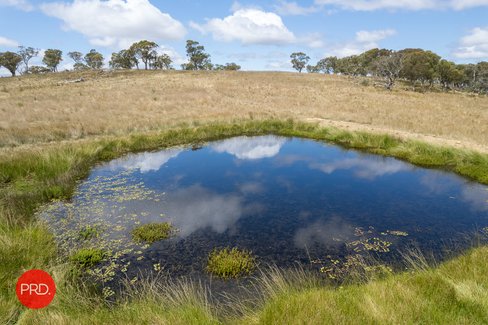2287 Bungendore Road, TARAGO NSW 2580