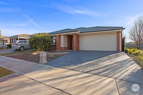 23 Pamela Avenue, JACKASS FLAT