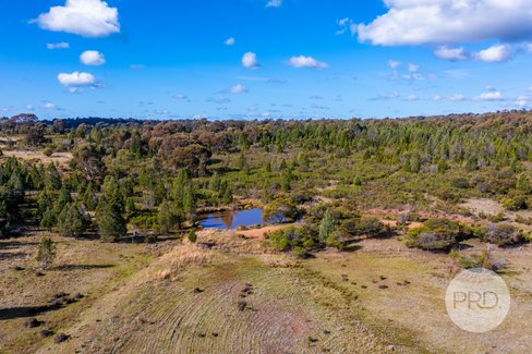 239 Combaning School Road, COMBANING NSW 2666