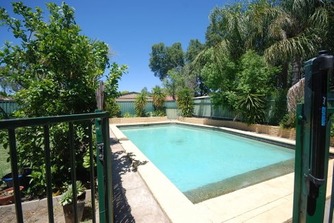 24 Dalman Parkway, WAGGA WAGGA NSW 2650