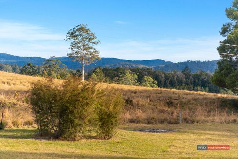 259 Lower Bobo Road, ULONG NSW 2450