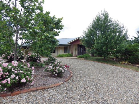 269 Downfall Road, TUMBARUMBA NSW 2653