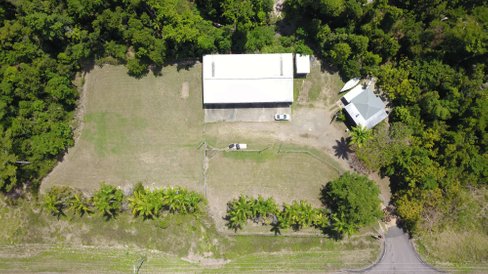 2927 Shute Harbour Road FLAMETREE