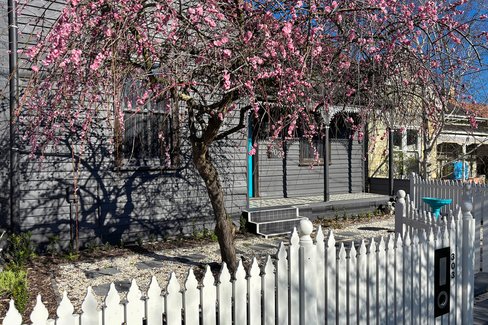 303 Macarthur Street, SOLDIERS HILL