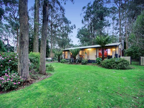 305 Glenburn/Kinglake Road Kinglake 3763