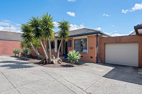 3 115 Northumberland Road Pascoe Vale 3044