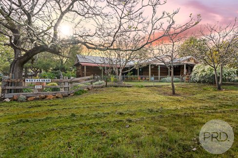 3174 Holbrook Road, MANGOPLAH NSW 2652