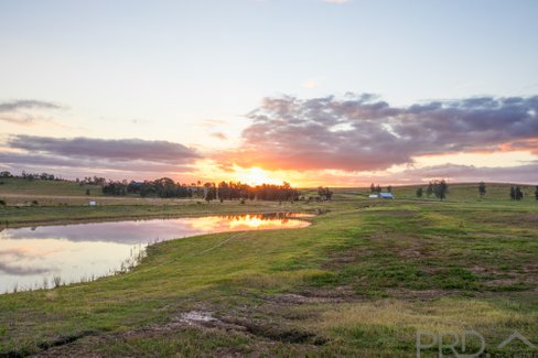32 Pyrus Avenue, BRANXTON NSW 2335